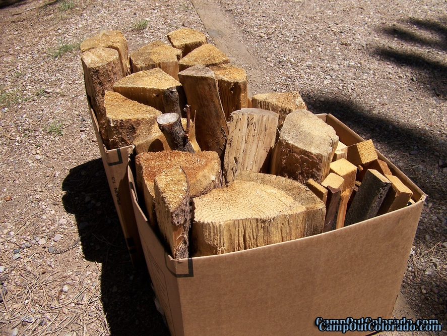 bringwoodcamping Camp Out Colorado