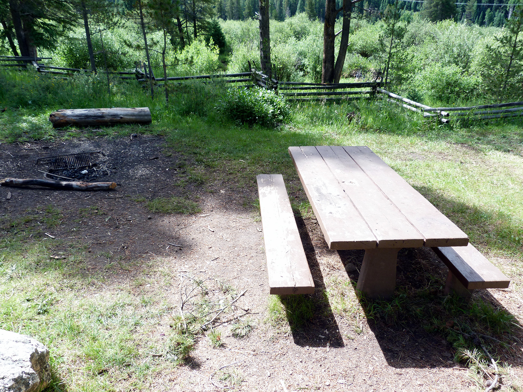 Escape to the Wild: Colorado's Elk Wallow Campground