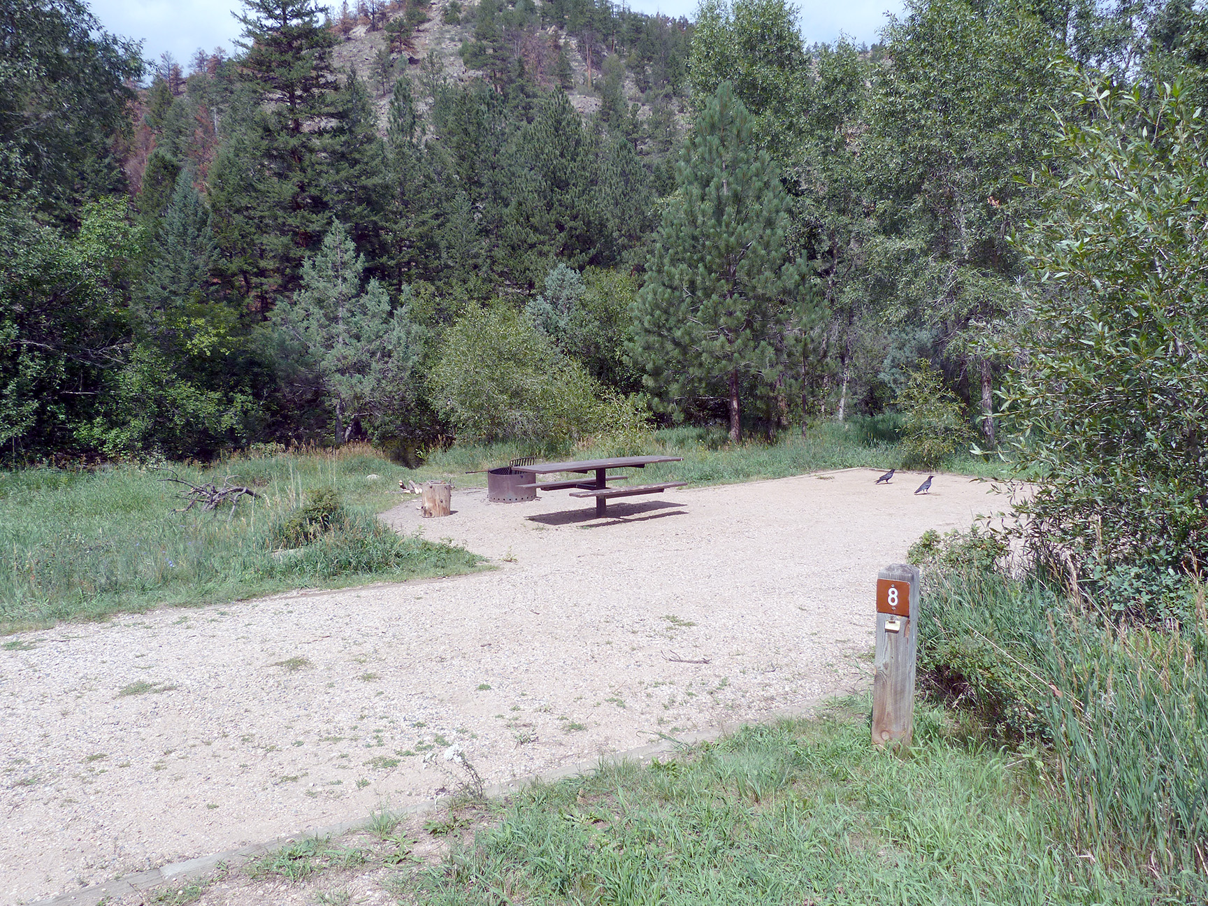 Kelly Flats Campground Camp Out Colorado
