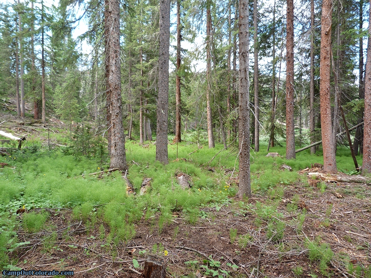 Read Our Ranger Lakes Campground Camping Review