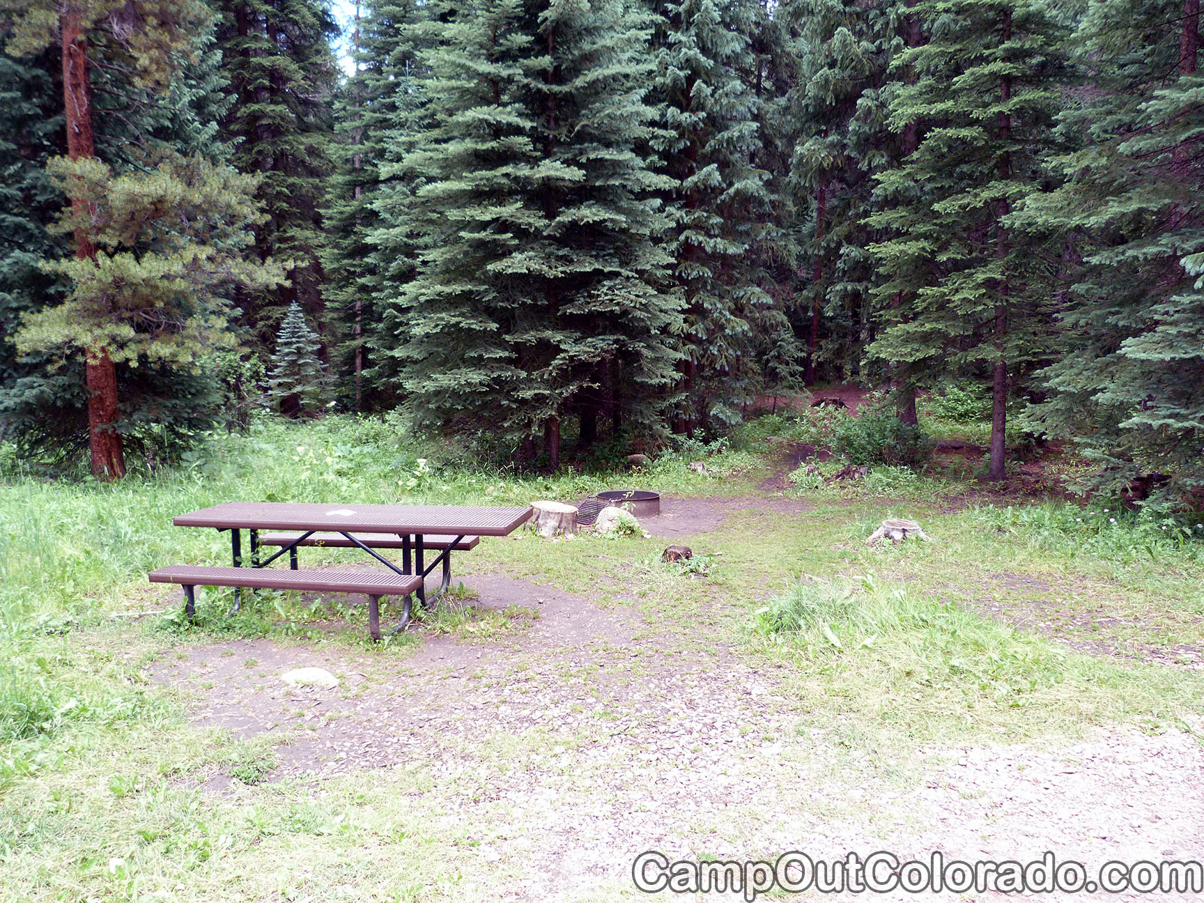 Escape to the Pines: Your Guide to Colorado's Dearhammer Campground