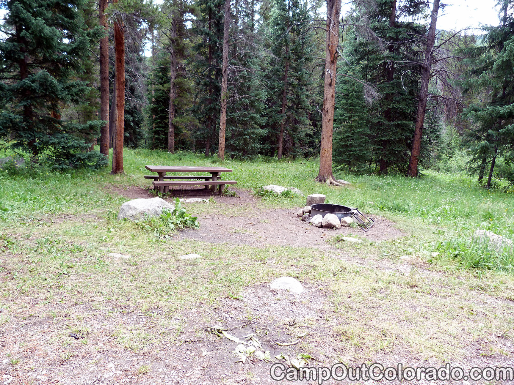 Chapman Dam Campground Camping Review Camp Out Colorado