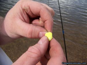 baiting-hook