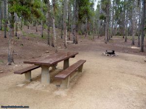 Camp-out-colorado-baby-doe-turquoise-lake-campsite