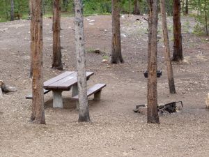 Camp-out-colorado-belle-turquoise-lake-trees