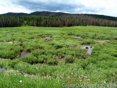 Camp-out-colorado-bockman-campground-south-meadow