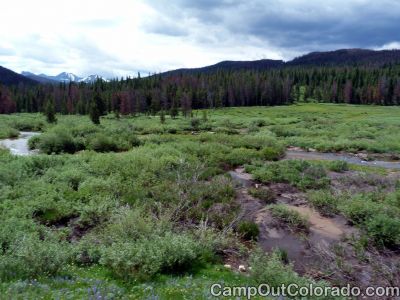 Camp-out-colorado-bockman-campground-willows-on-river