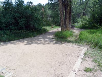Camp-out-colorado-kelly-flats-campground-campsite-big-tree