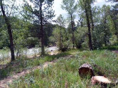 Camp-out-colorado-kelly-flats-campground-river-trail