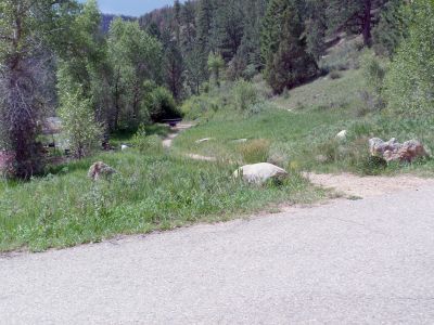 Camp-out-colorado-kelly-flats-campground-walkin-campsite