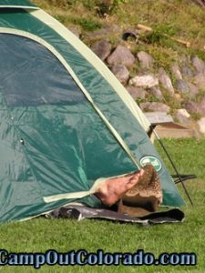 camping-tent-foot