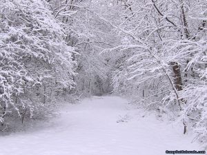 camping_snow