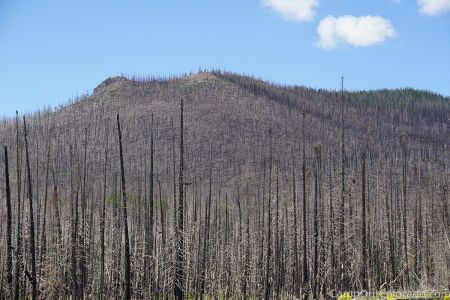 Campoutcolorado-burned-mountain