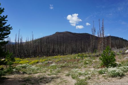 Campoutcolorado-burned-mountain Range