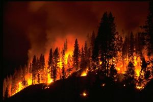 campoutcolorado-forest-fire