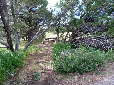 Campoutcolorado-lathrop-state-park-campground-campsite-cover