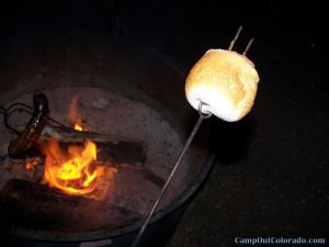 perfectly-browned-marshmellow