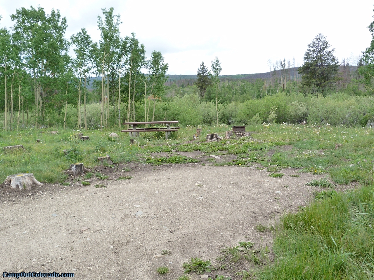Aspen-Basalt Campground: Your Gateway to Colorado's Wild Side
