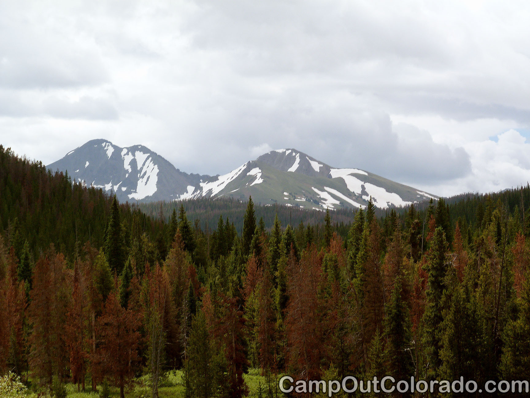 Bockman Campground State Forest State Park - Hiking