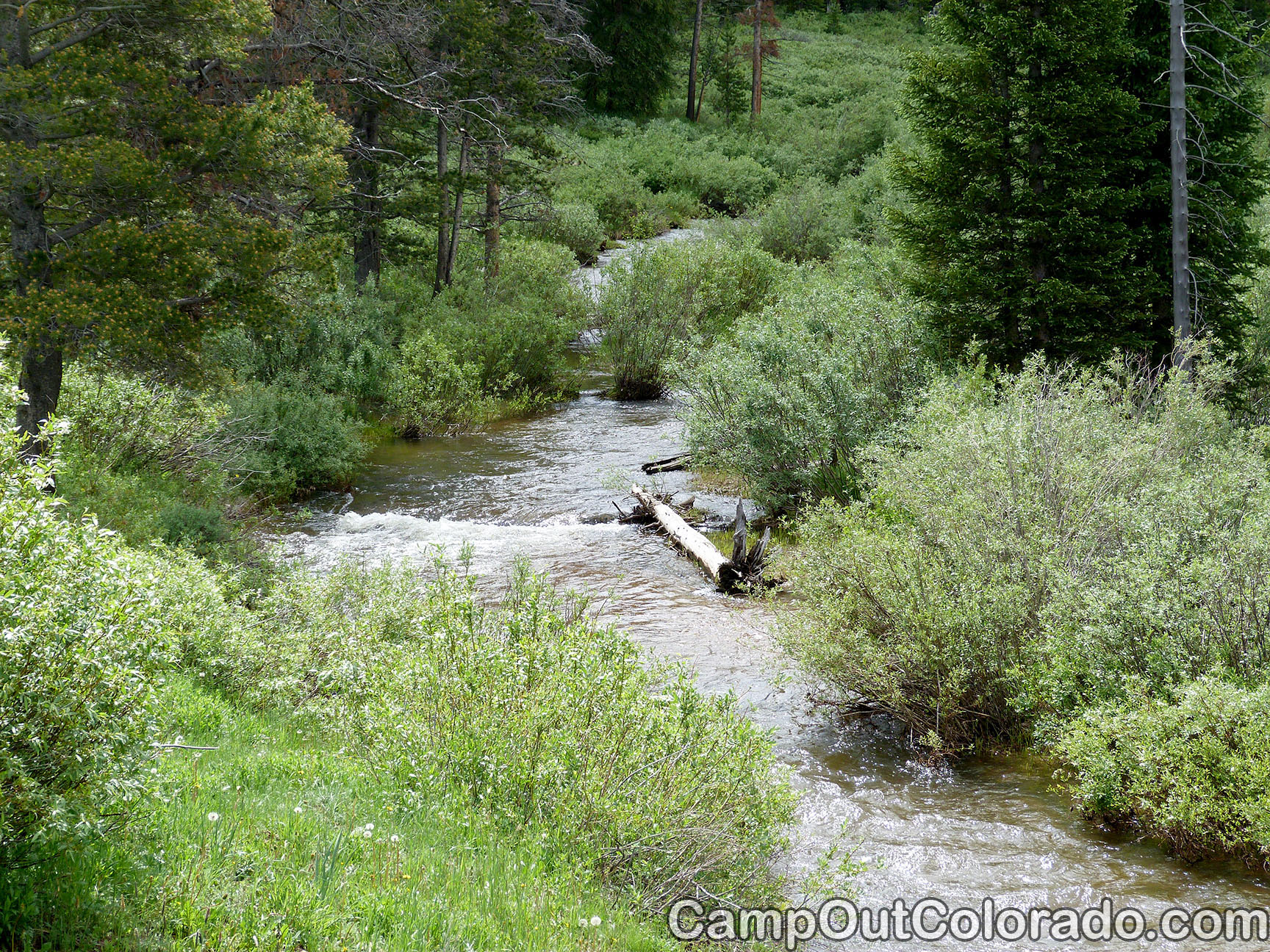 Bockman Campground State Forest State Park Camping Review - Hiking
