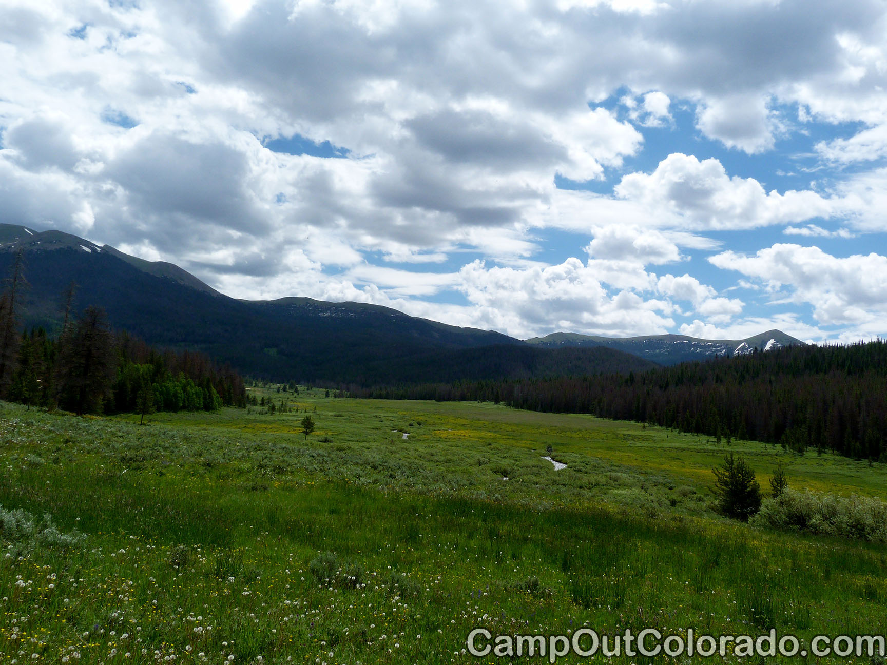 Camp-out-colorado-bockman-campground-upper-meadow