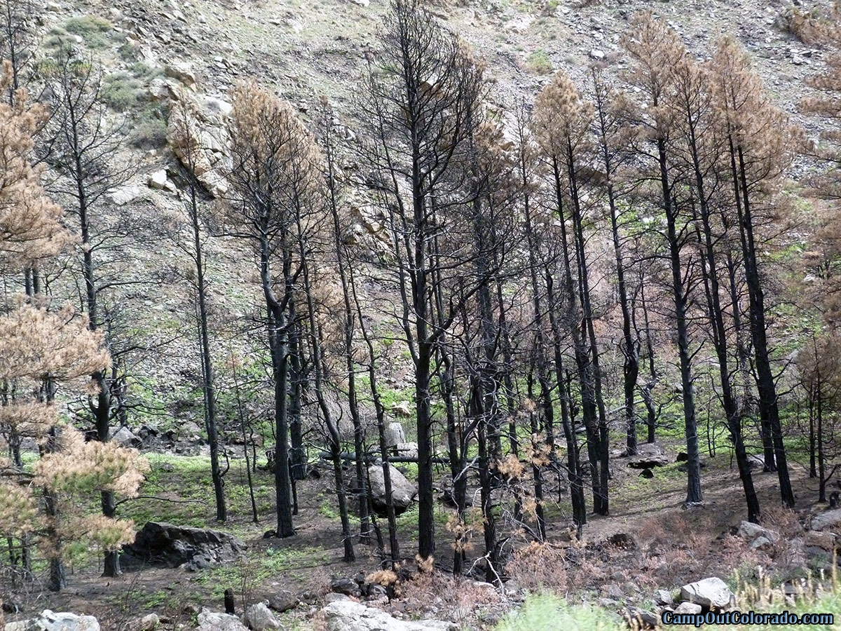 Colorado Fire Restrictions and Fire Bans