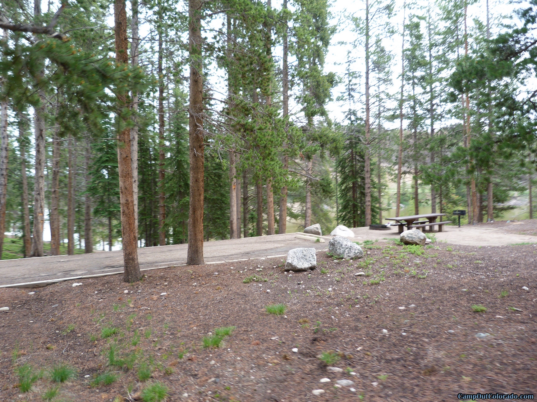 Escape to Serenity: Unwinding at Colorado's Chambers Lake Campground