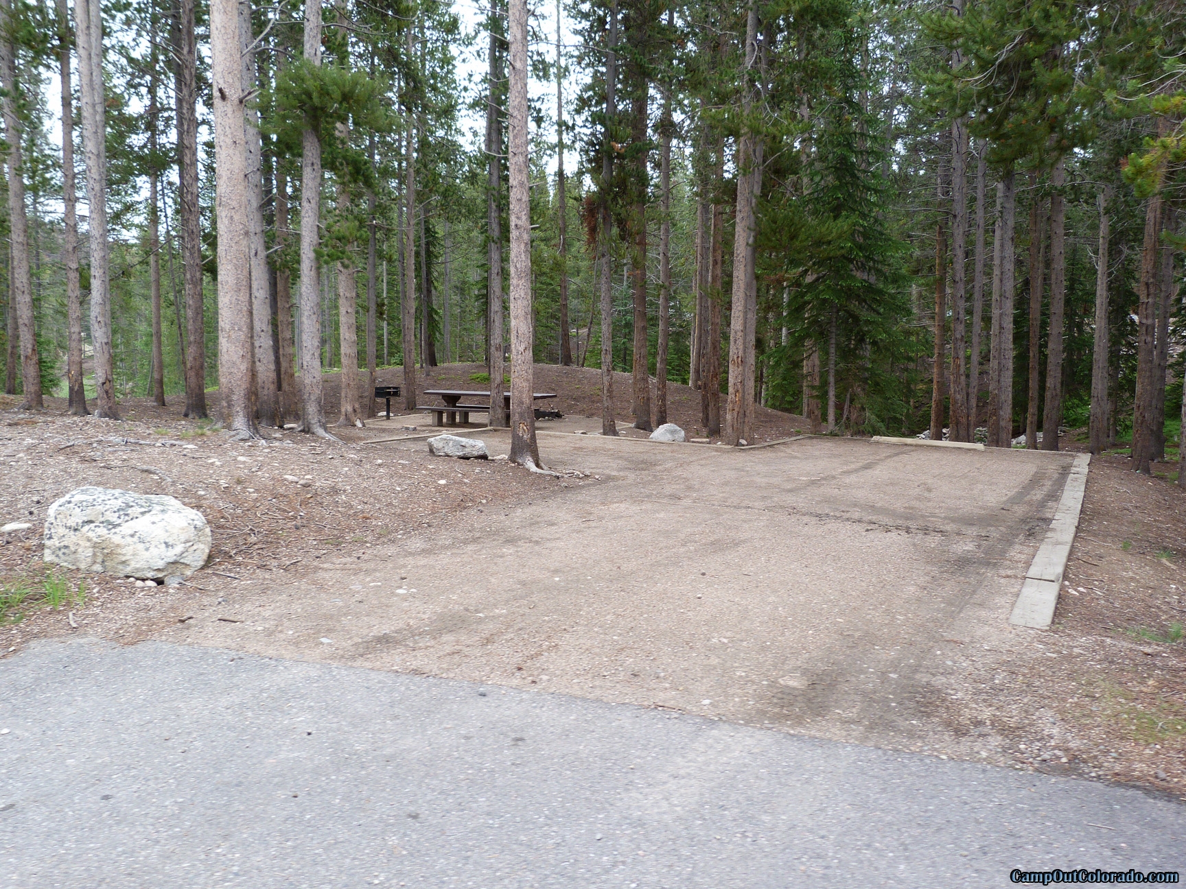 Camping Review of Chambers Lake Campground - Thick Wooded Campsite