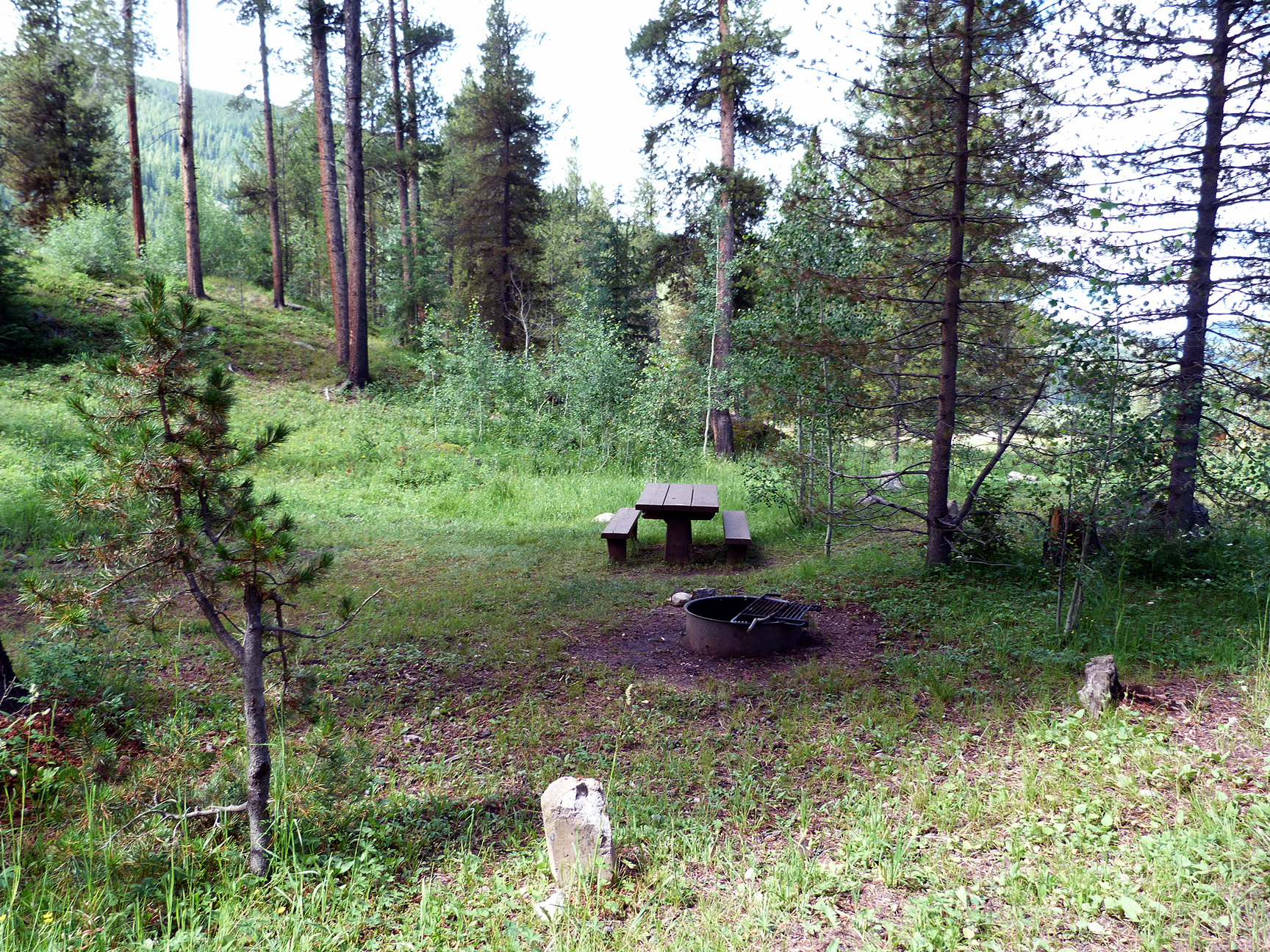 Escape to the Wild: Colorado's Elk Wallow Campground