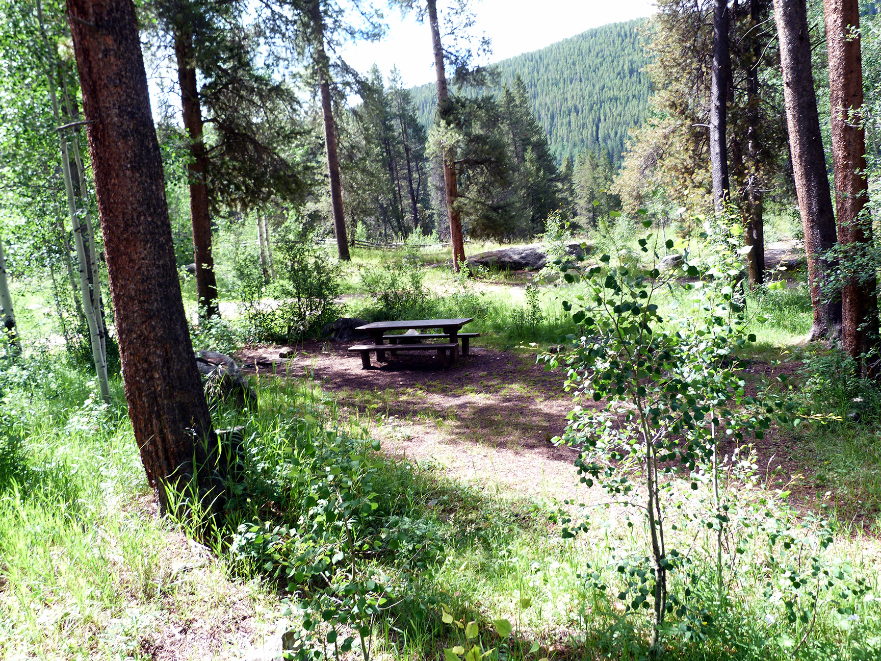 Camp-out-colorado-elk-wallow-wooded-site