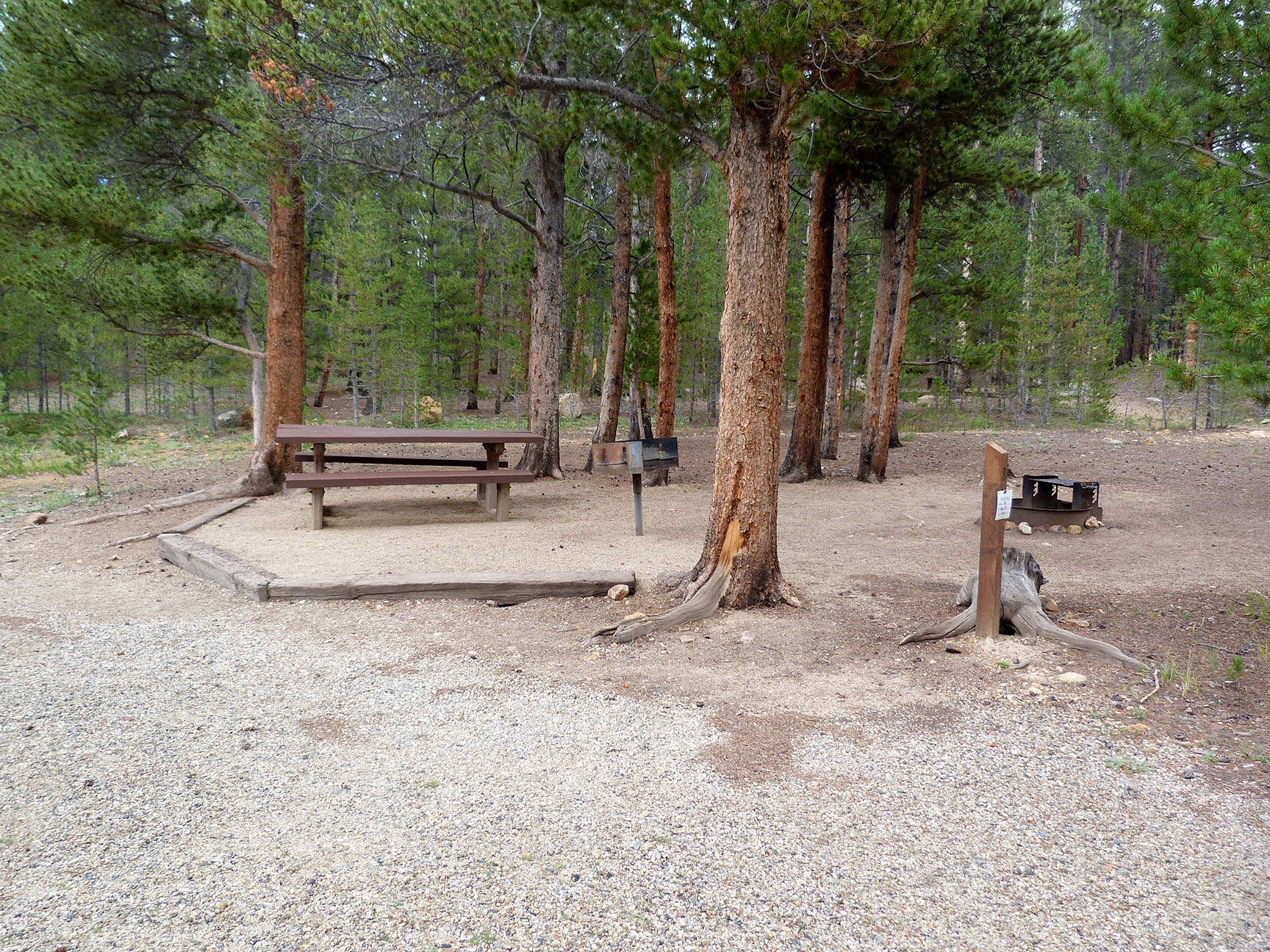 Escape to the Enchanting Wilderness: Your Guide to Colorado's Father Dyer Campground