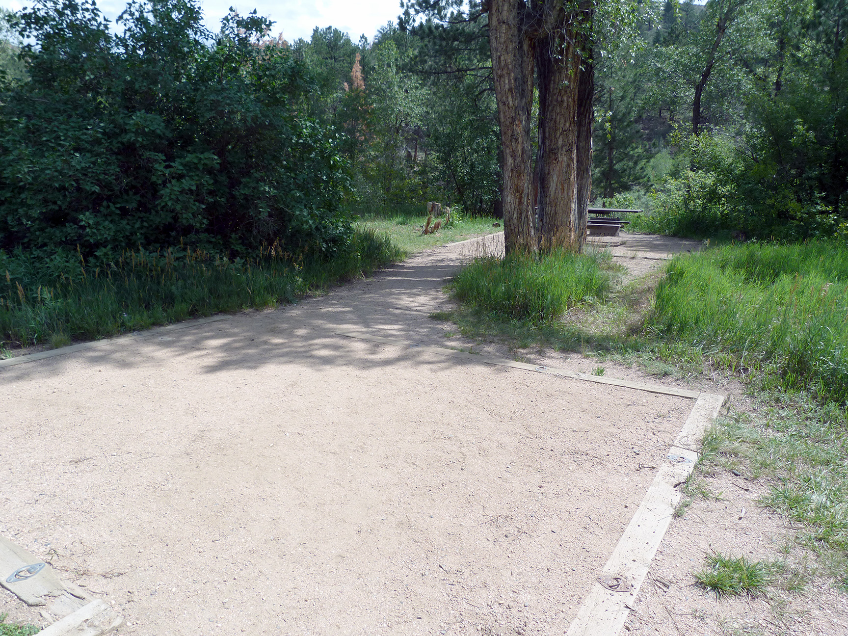 Campoutcoloradokellyflatscampgroundcampsitebigtree Camp Out