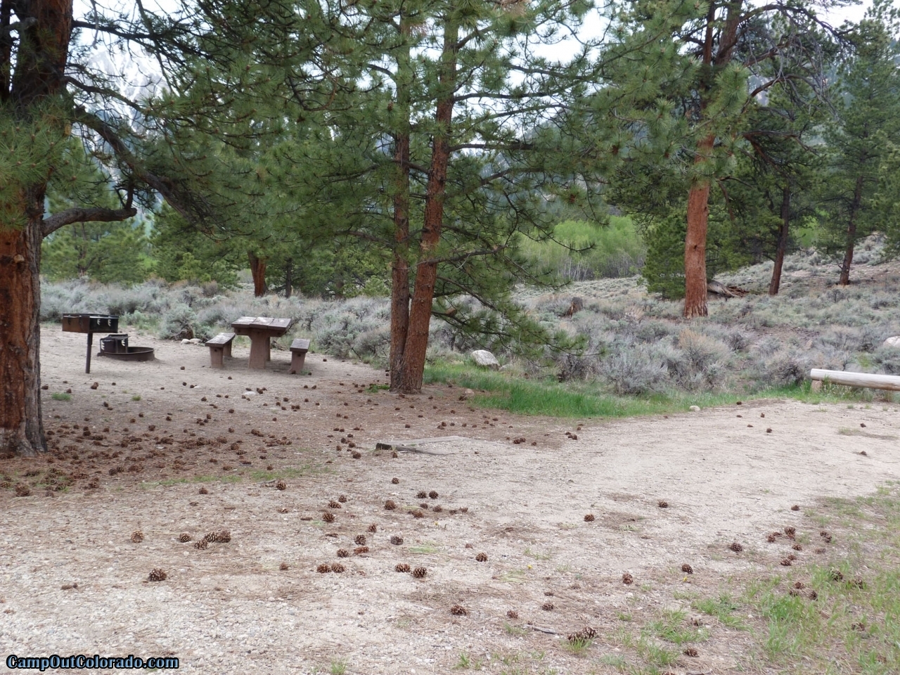 Lakeview Campground Camping Review Camp Out Colorado