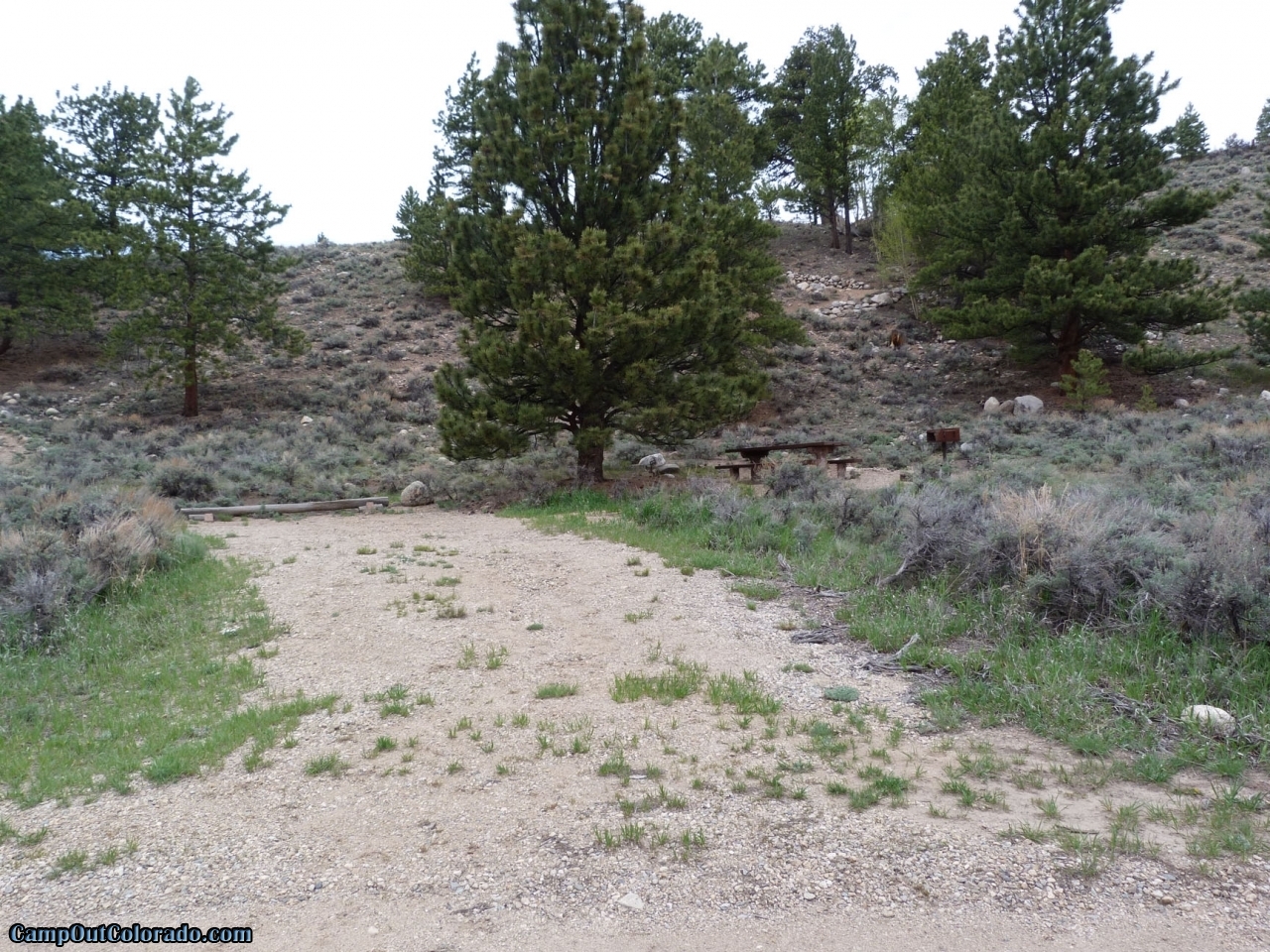 Lakeview Campground Camping Review Camp Out Colorado