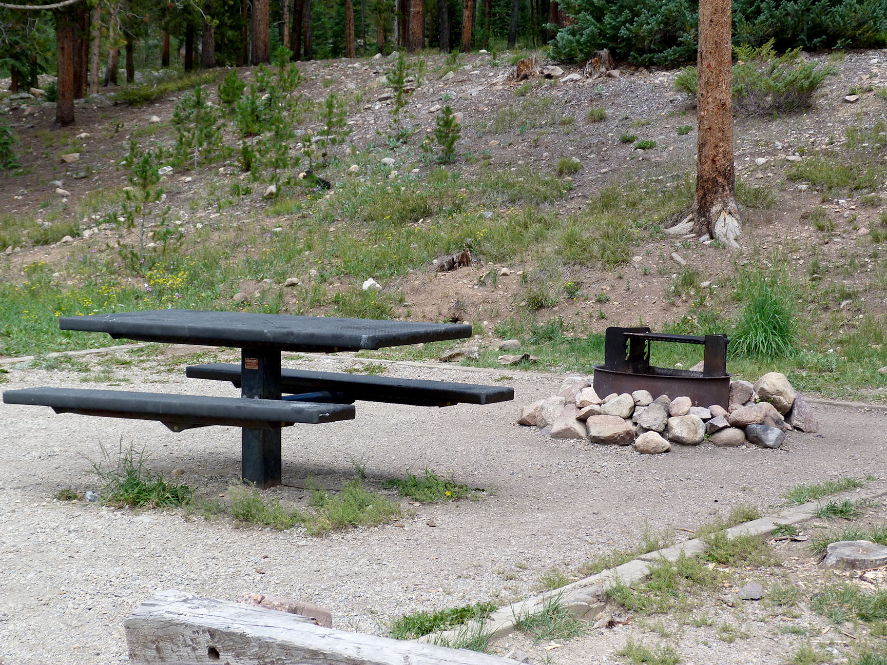 Memorial Day Camping Top Ten Trip Tips 