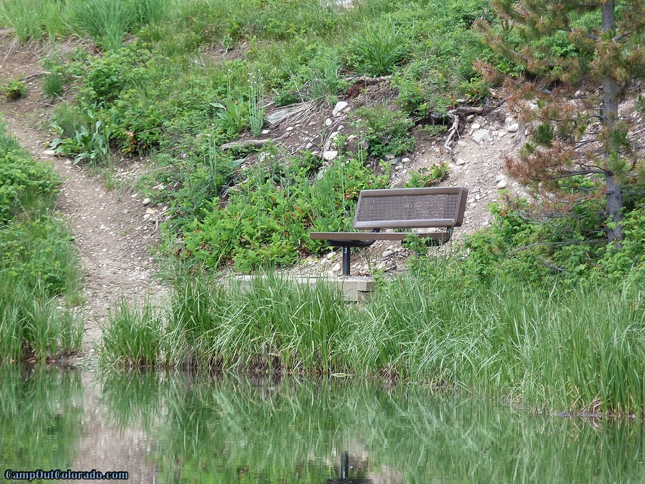 Read Our Ranger Lakes Campground Camping Review
