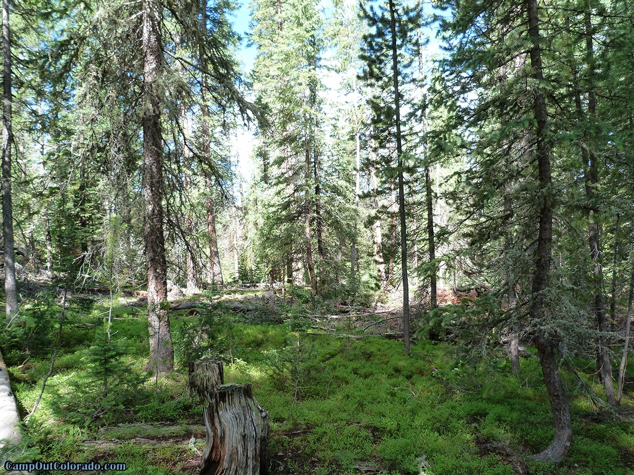 Read Our Ranger Lakes Campground Camping Review