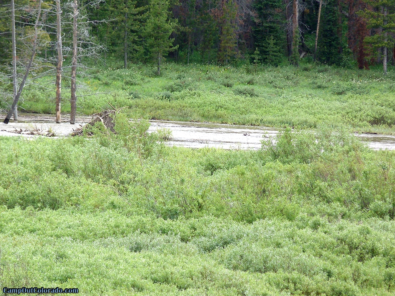 Read Our Ranger Lakes Campground Camping Review