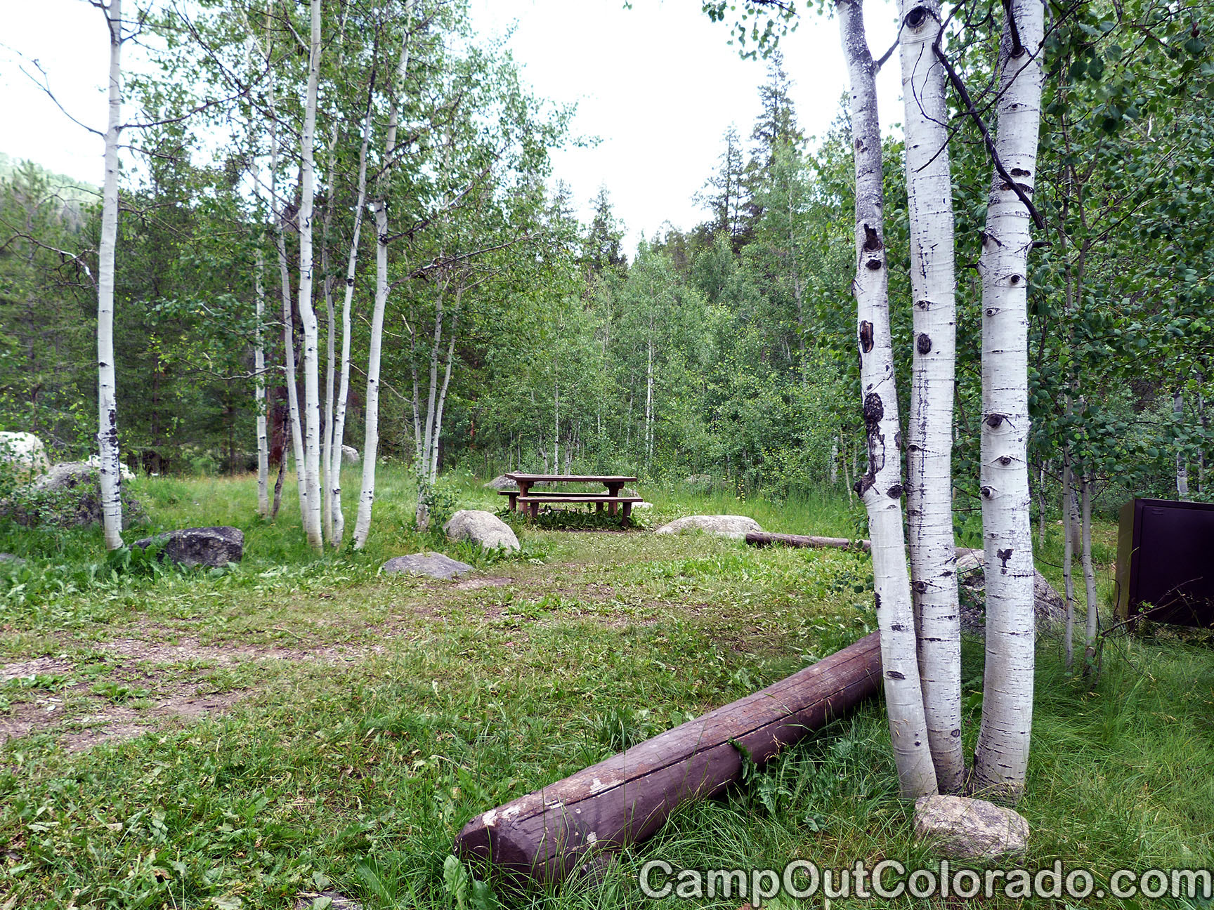 Campground-camping-in-aspen 1