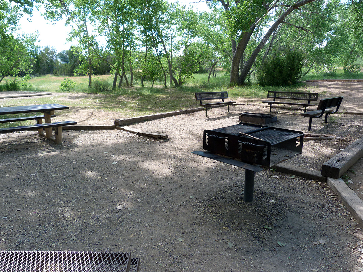 Campsite Review of Yucca Campground in Lathrop State Park