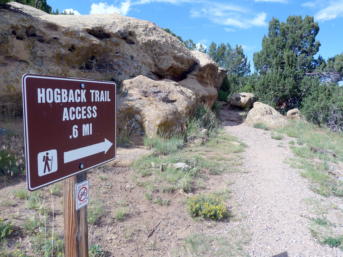 Hiking Trails at Lathrop State Park - Camping Review