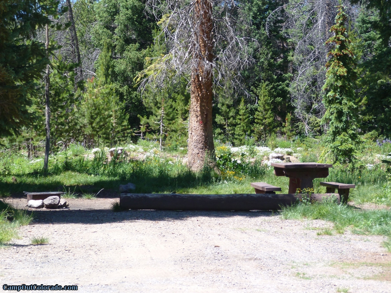 Meadows Campground Camping Review Rabbit Ears Pass