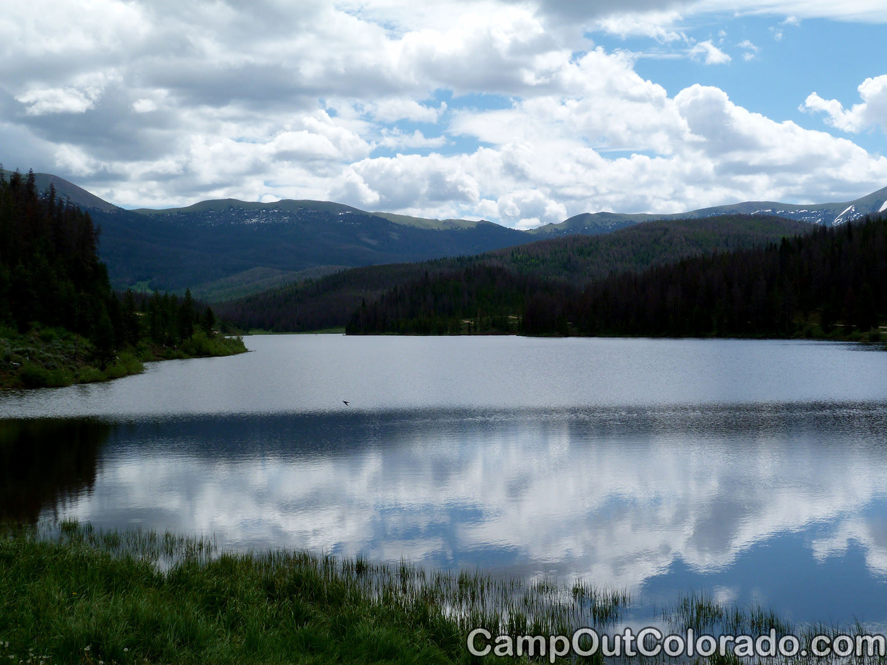 North Michigan Reservoir Campground in State Forest State Park Camping Review - Many Activities to Enjoy