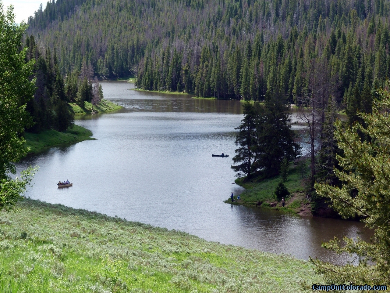 Good Trout Fishing at Hahns Peak Lake Campground