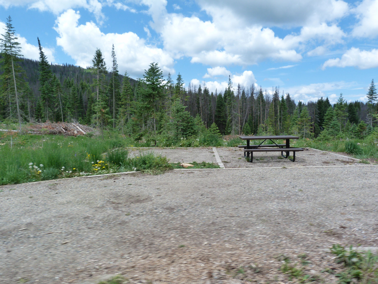 Camping Review of Pearl Lake State Park Campground Camp Out Colorado