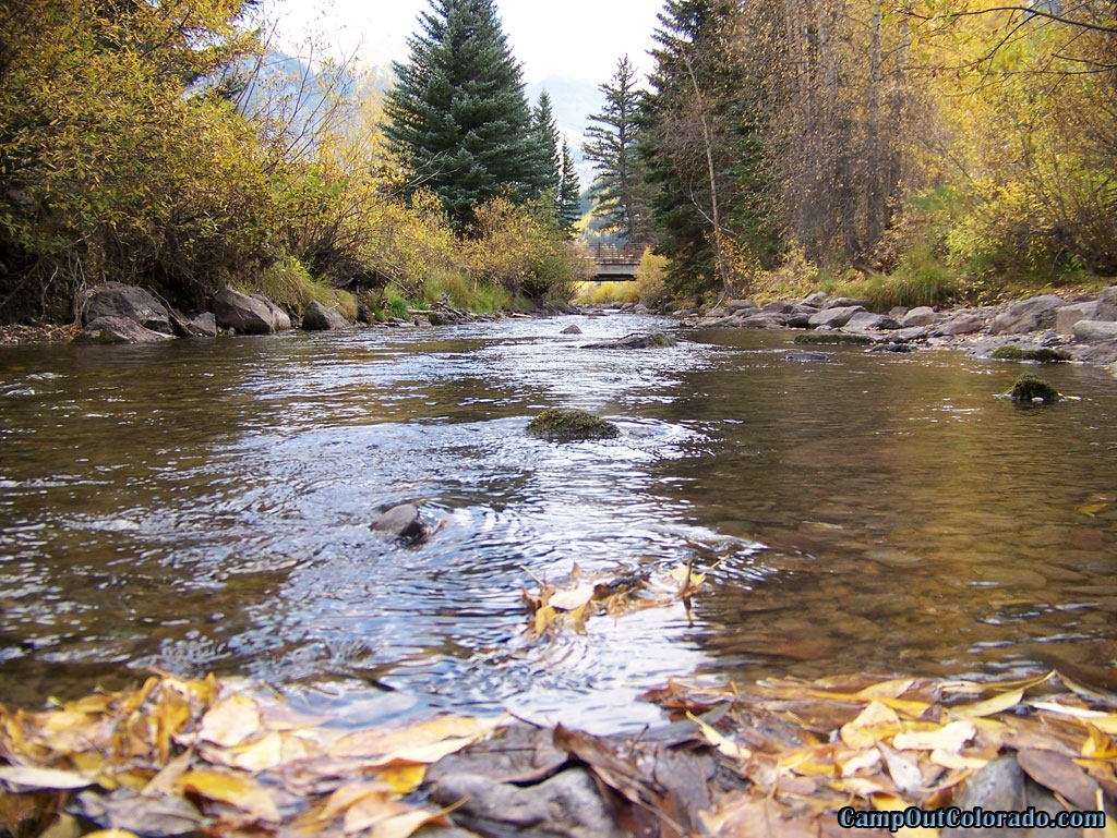 Order Fishing and Hunting Licenses Online
