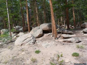 camp-out-colorado-bellaire-lake-chipmunk-home