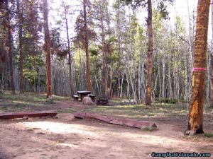 camp-out-colorado-kenosha-pass-campground-campsite