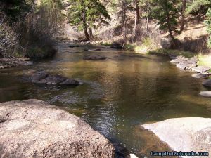 twin-eagle-trailhead-campground-tarryall-creek-upstream