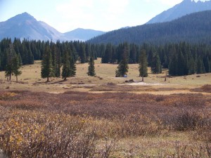 Lizard Head Pass Wilderness Camping Review